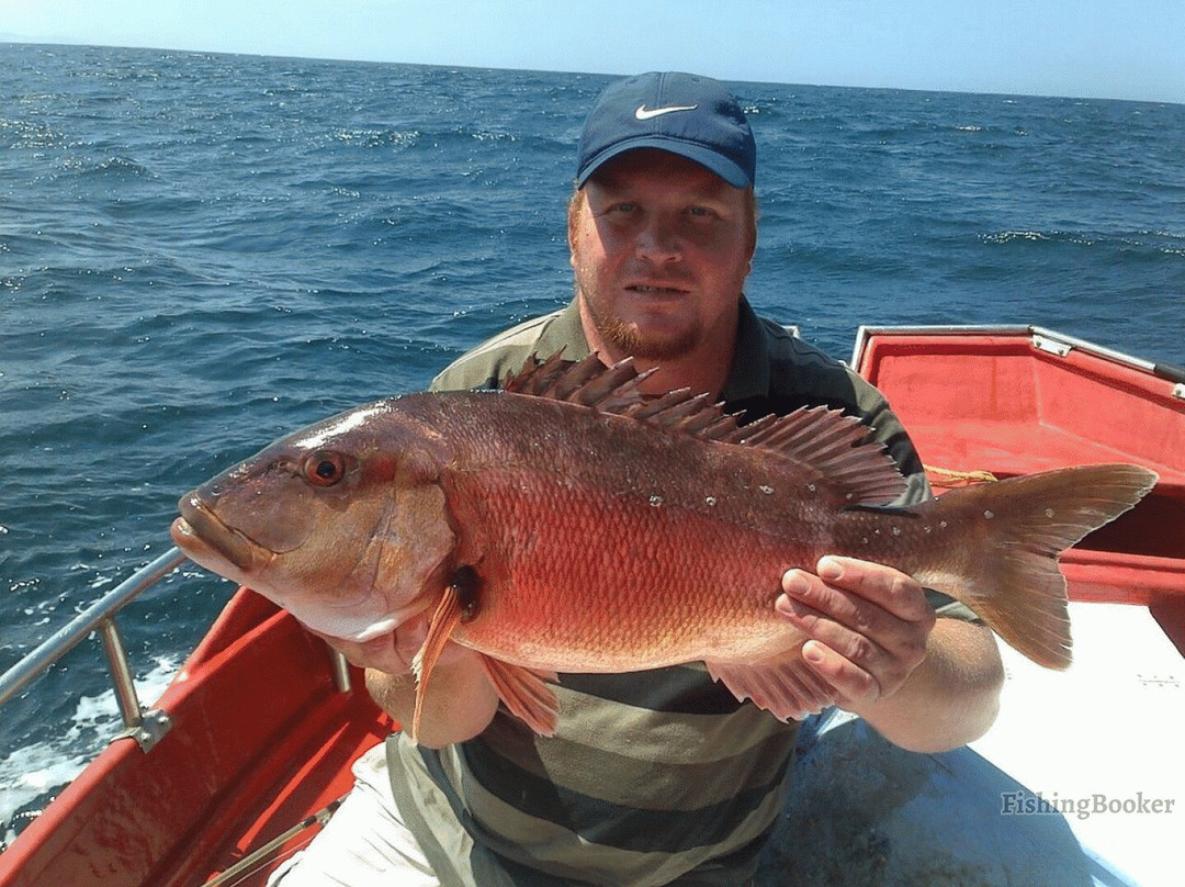 Knysna Deep Sea Fishing Charters-克尼斯纳必去景点
