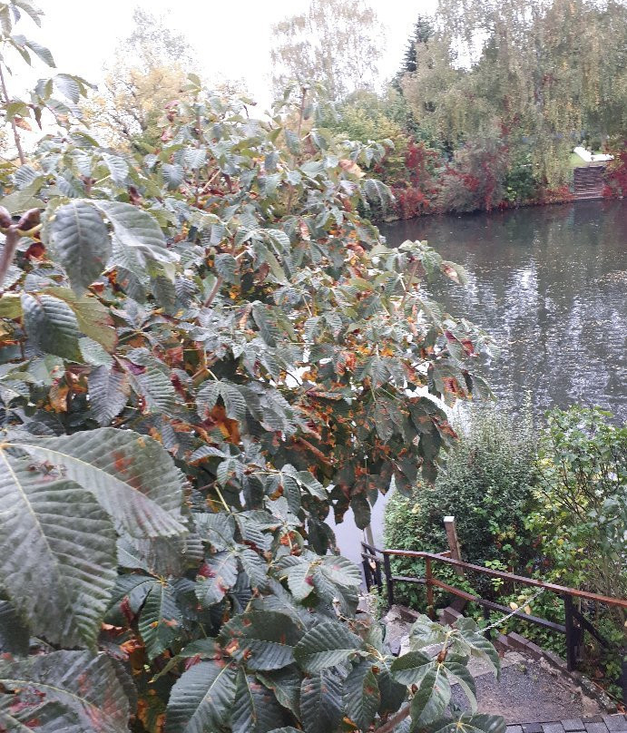 Altes Eishaus, Hotel & Resaturant主图