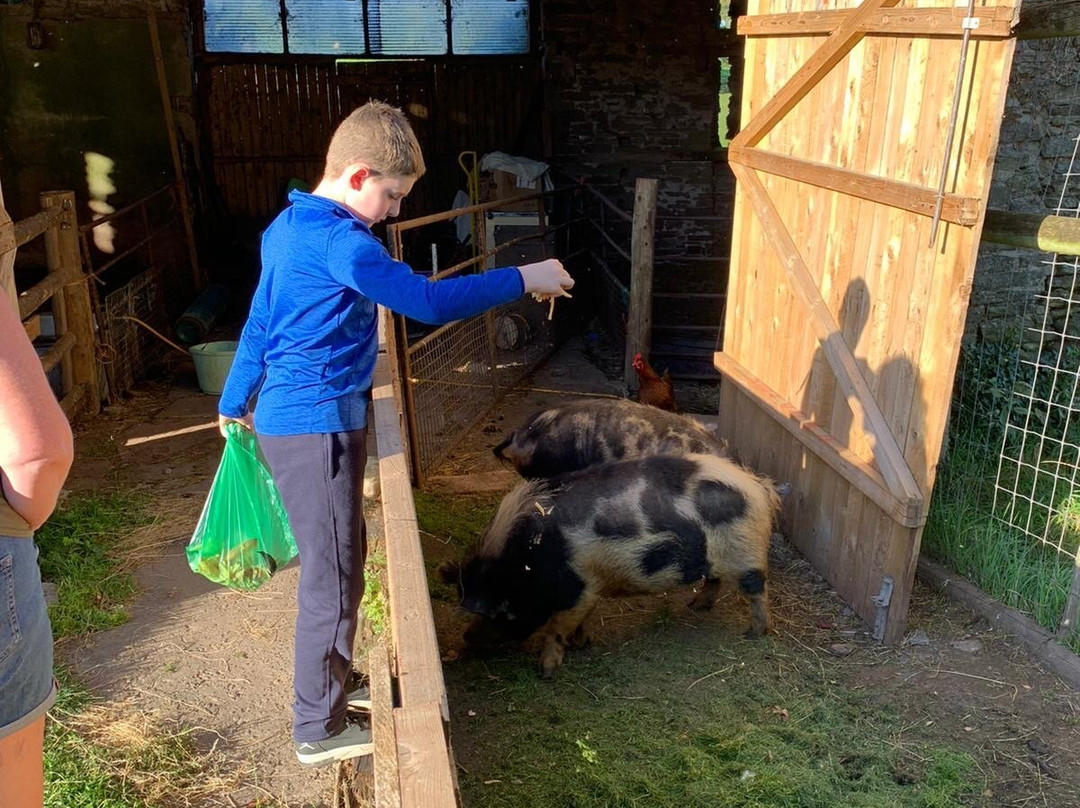 Werngochlyn Farm