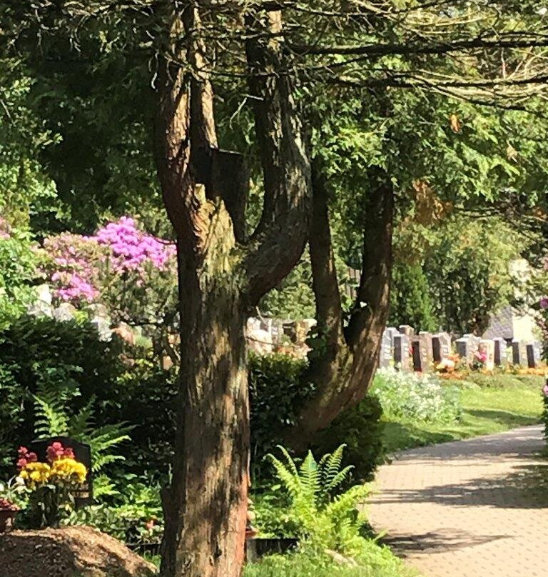 Friedhof - Cintorín-Eibenstock必去景点