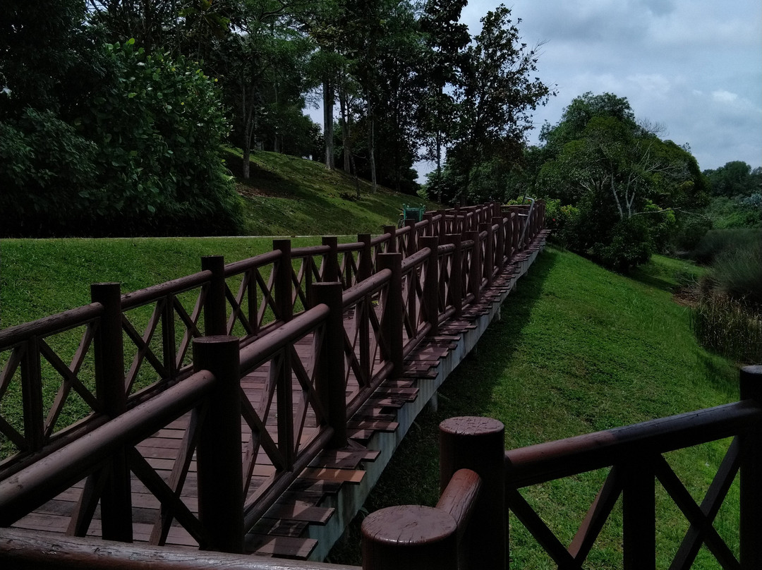 Putrajaya Wetlands Park-太子城必去景点
