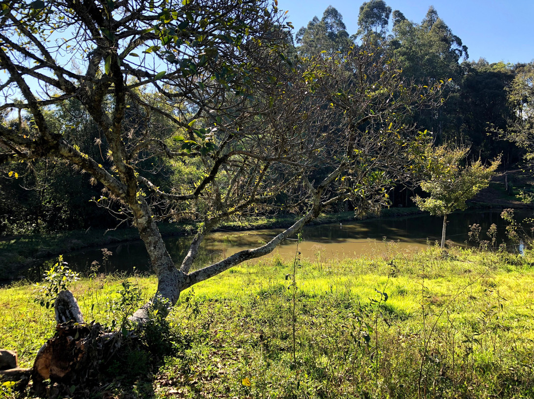Vinhos Fae-Monte Belo do Sul必去景点