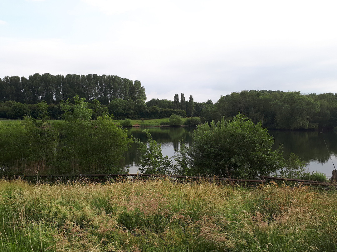 Chorlton Water Park-曼彻斯特必去景点