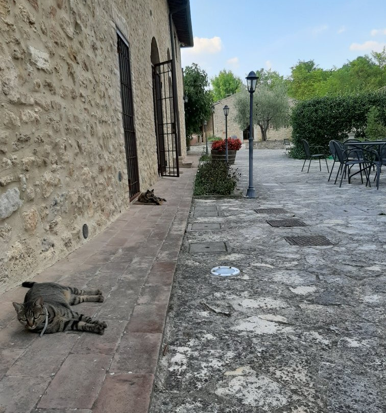 Agriturismo Croce di Bibbiano主图