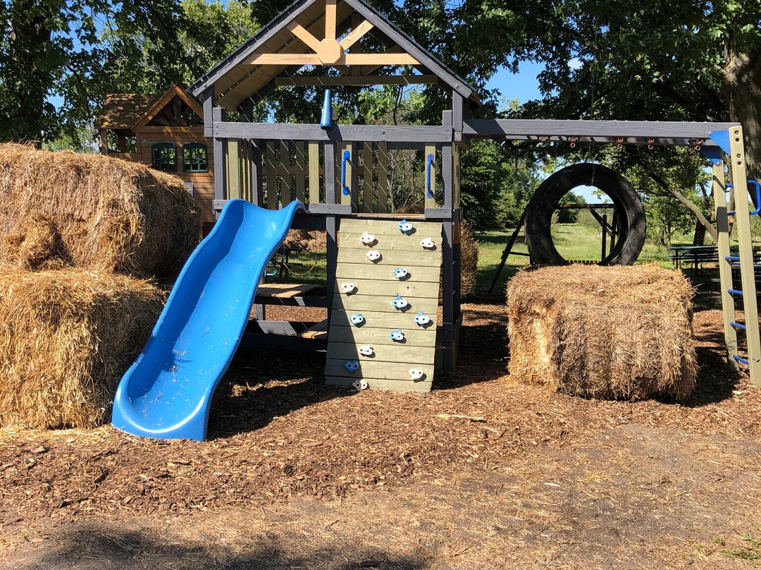 Wagner Orchards & Estate Winery-Lakeshore必去景点