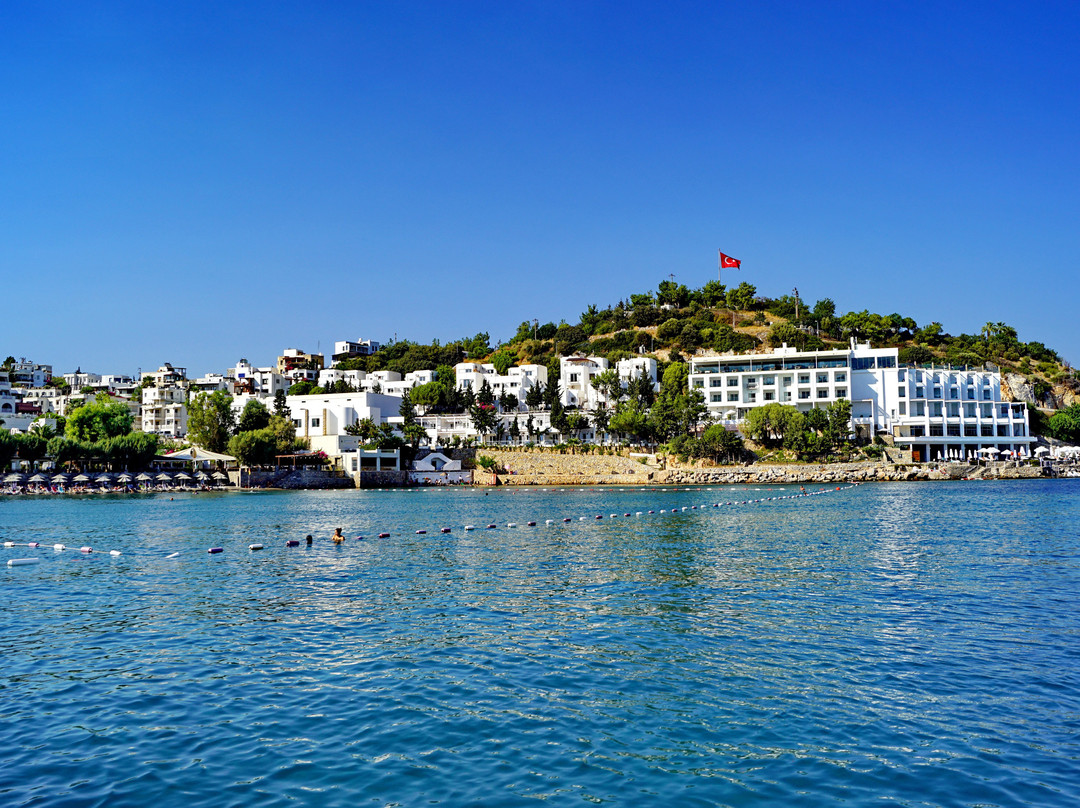 Bardakci Cove景点图片