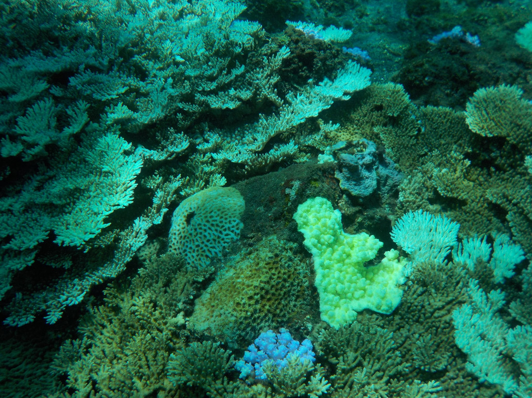 Ocean Boulevard-八丈岛必去景点