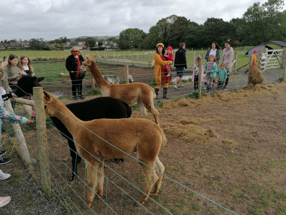 Apple Cast Farm-Newburgh必去景点