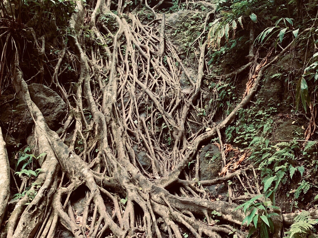 Mamamakole Falls-怀露库必去景点