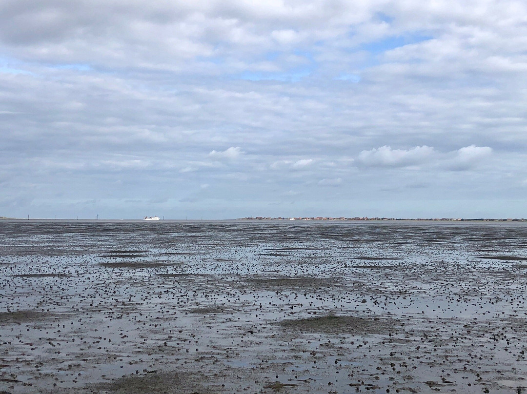 Riekens - Wir sind Watt-Dornum必去景点