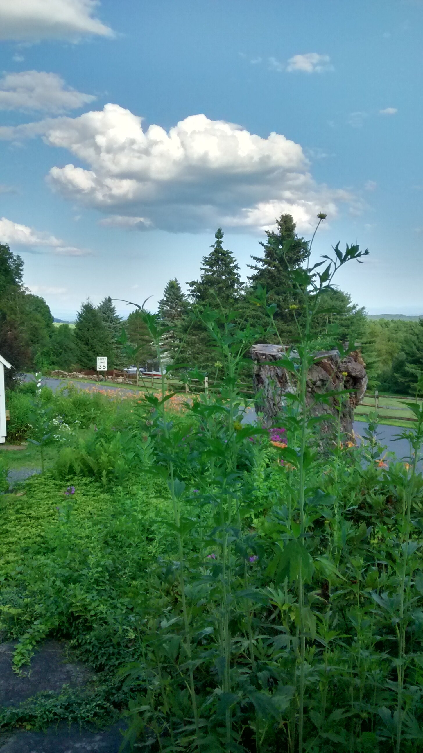 Wyndbourne B&B-官方