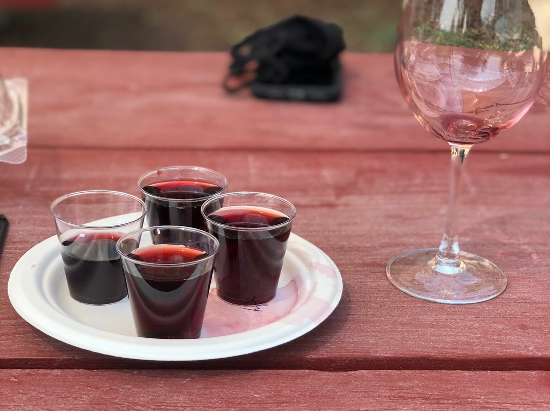 Cougar Vineyard & Winery-特曼库拉必去景点