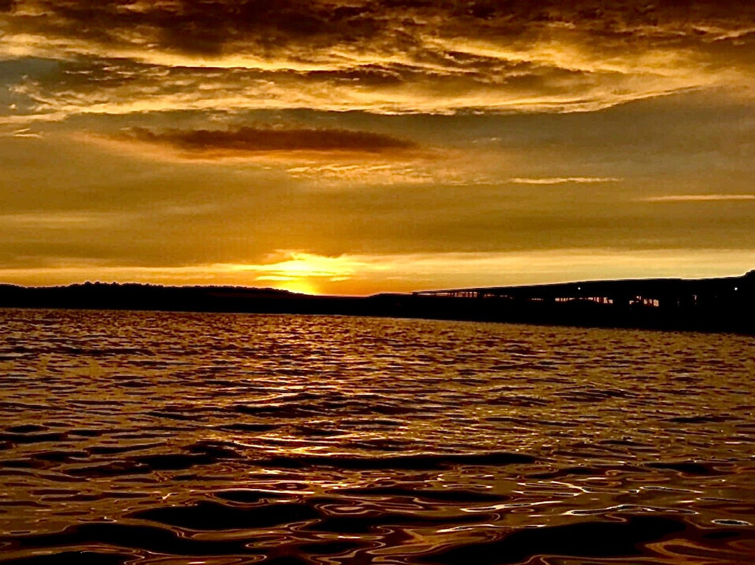 Bull Shoals Lake Boat Dock景点图片