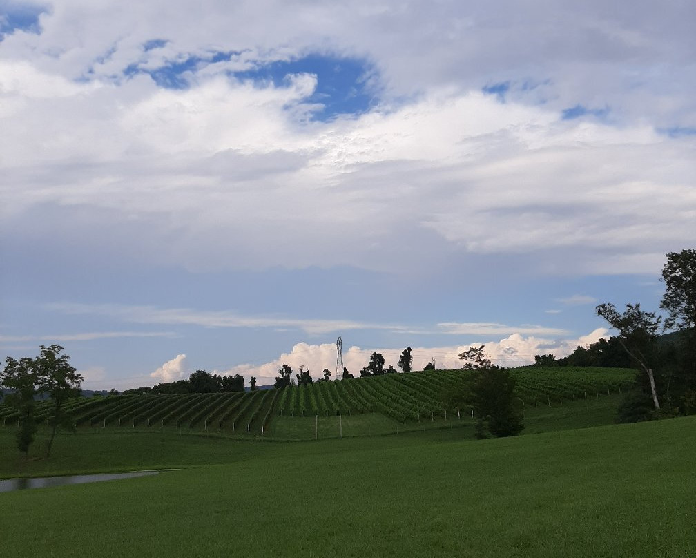 Maggie Malick Wine Caves景点图片