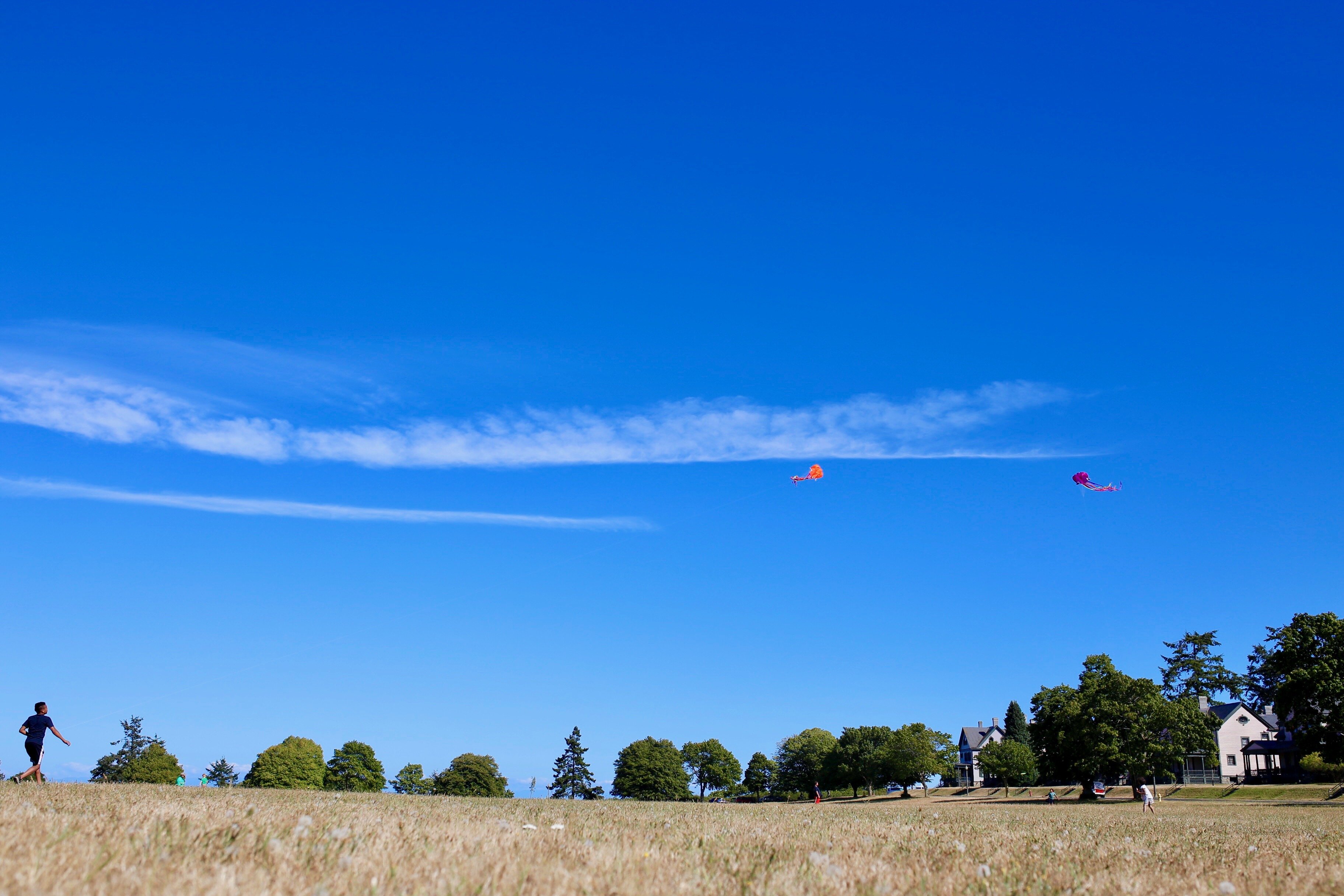 Fort Worden-家庭/游戏区