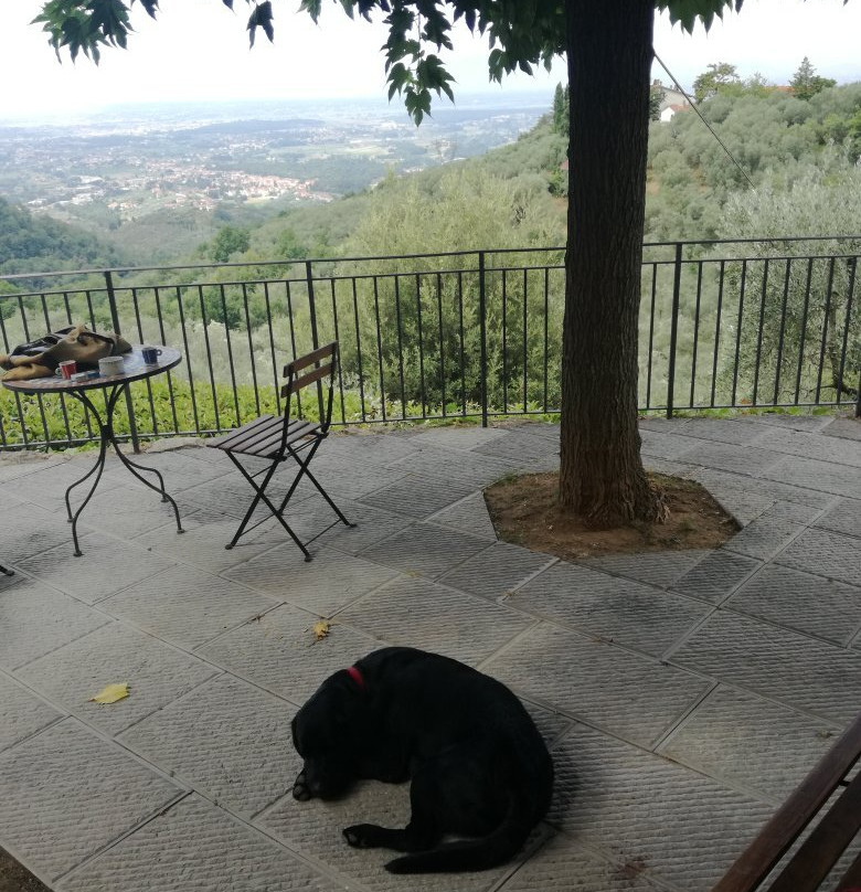 Villa di Papiano-Lamporecchio必去景点