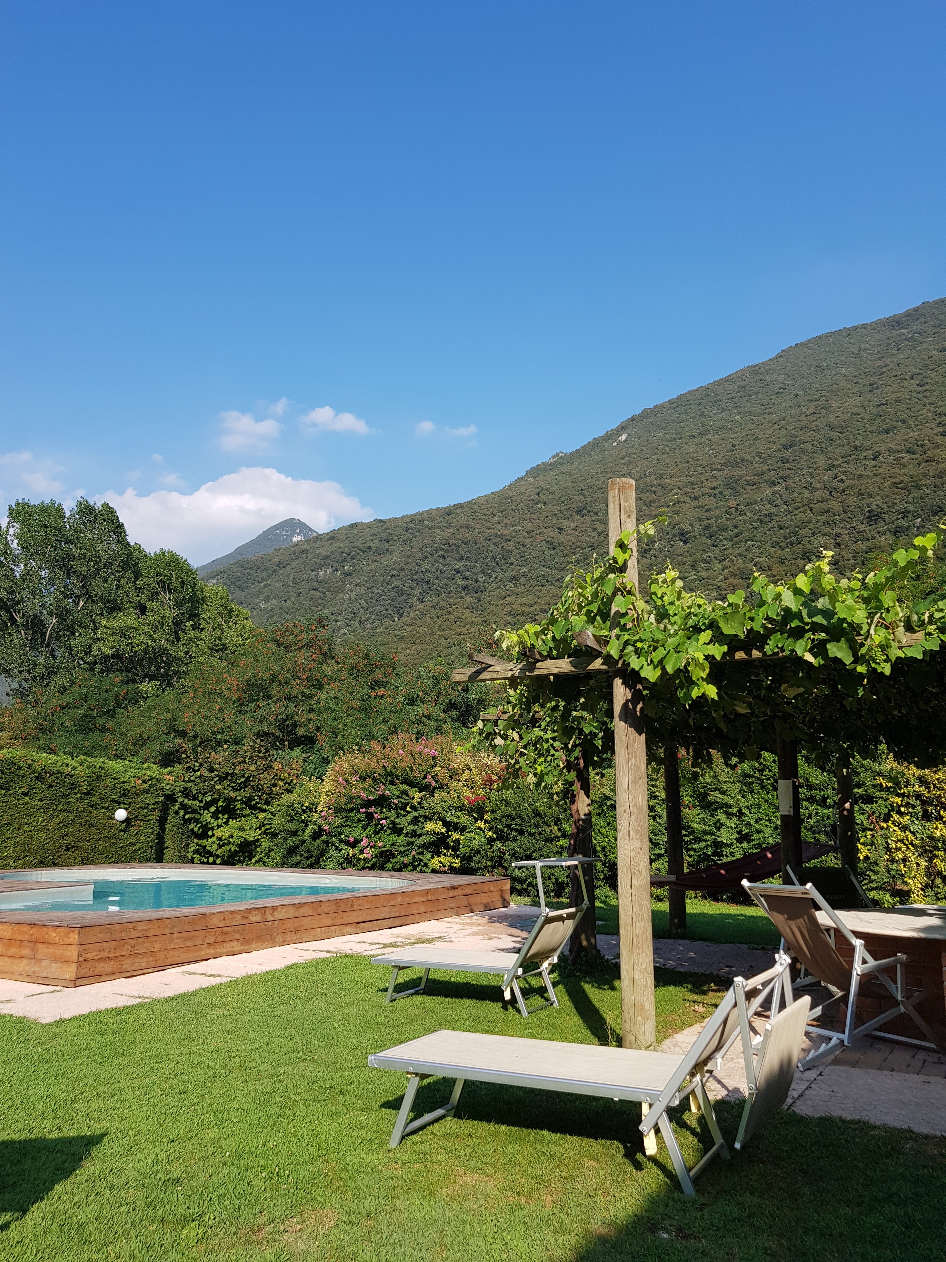 Agriturismo Revena-泳池