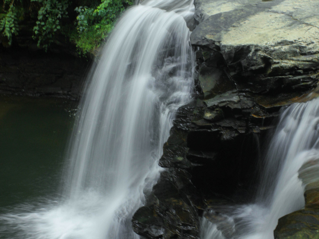 Hawks Nest Rail Trail-Ansted必去景点