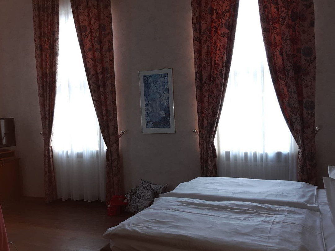 Parkhotel Schloss Meisdorf主图