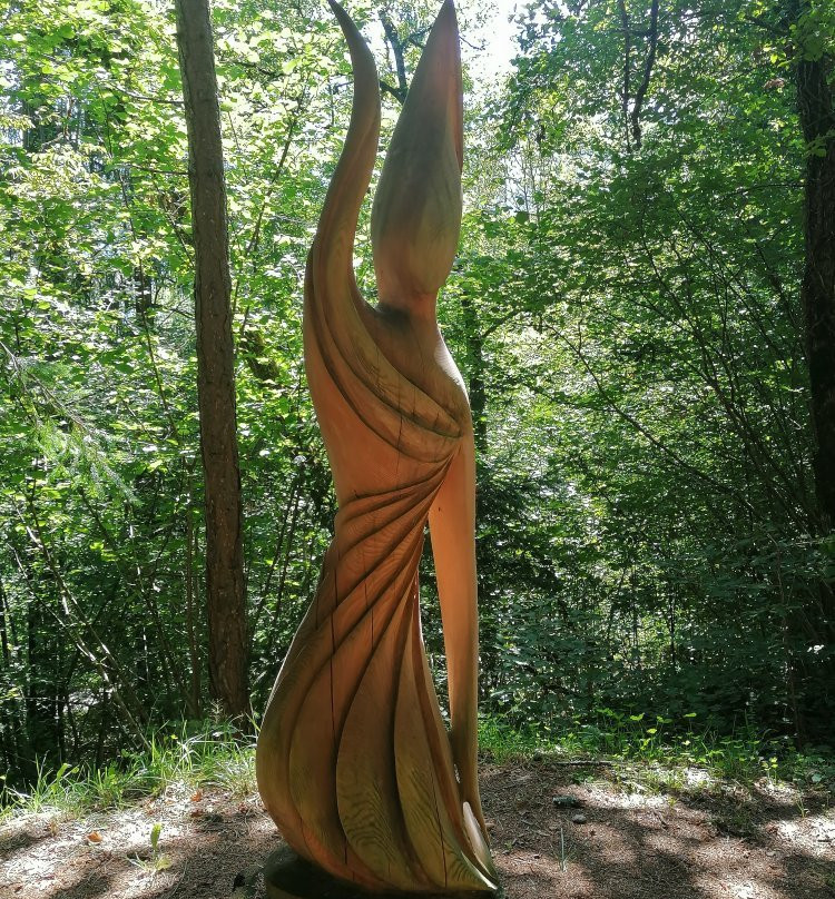 BoscoArteStenico Museo d'Arte nella Natura景点图片