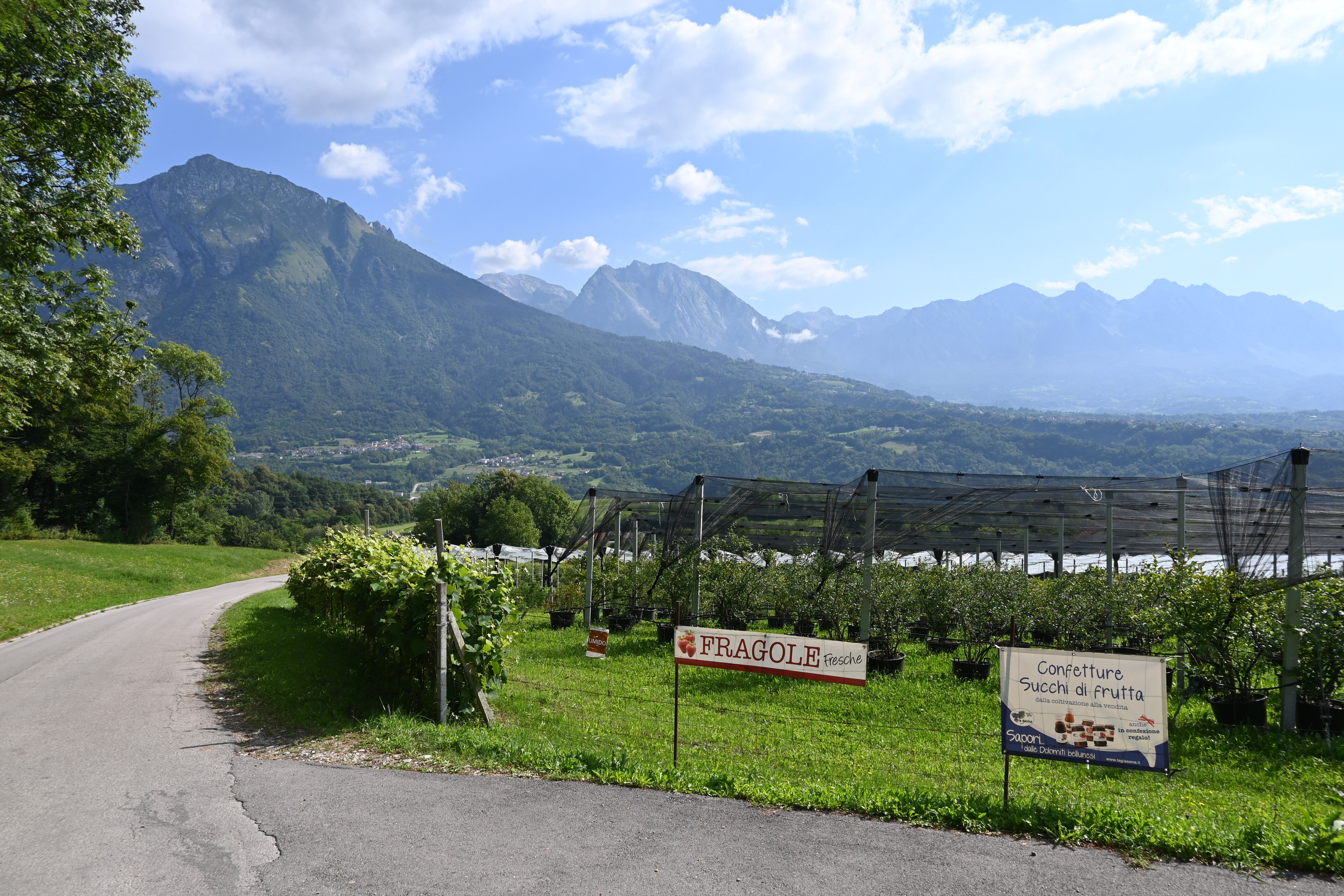Agriturismo La Giasena-浴室
