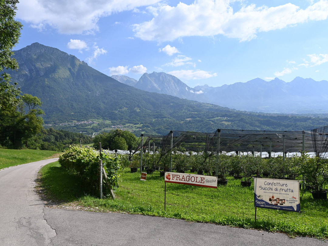 Agriturismo La Giasena主图