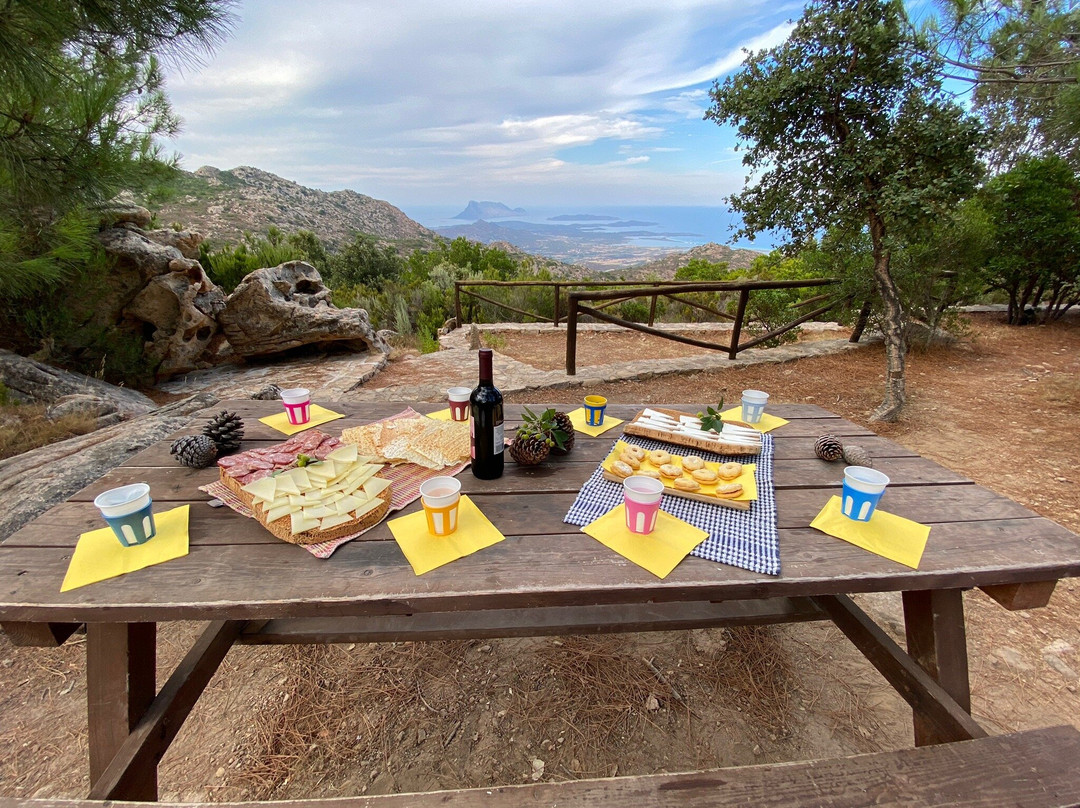 Lost in Sardinia escursioni-San Teodoro必去景点