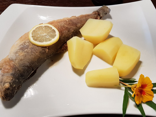 希蒂菲尔德黑德酒店主图