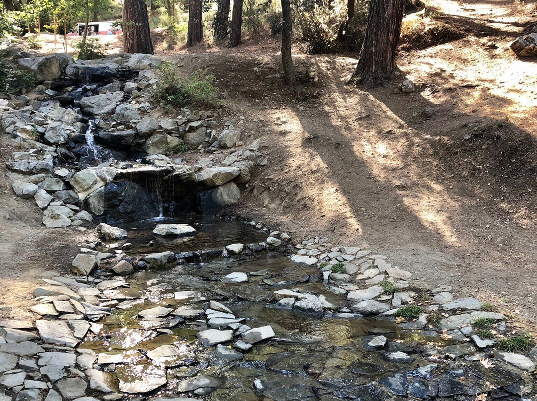 Platania Picnic Site景点图片