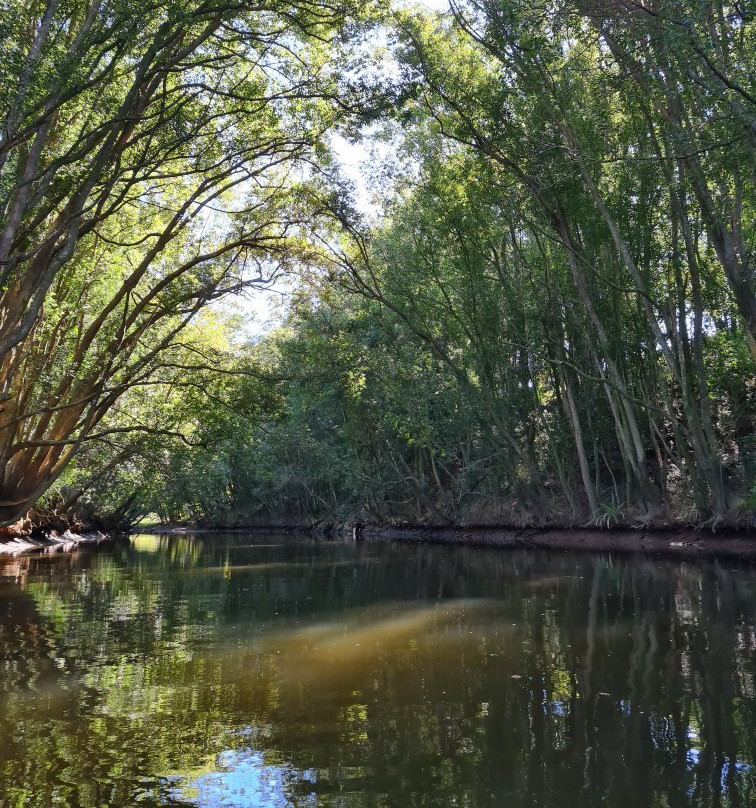 Bellingen Canoe Adventures景点图片