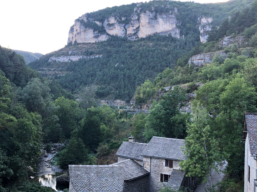 Hôtel de la Jonte主图