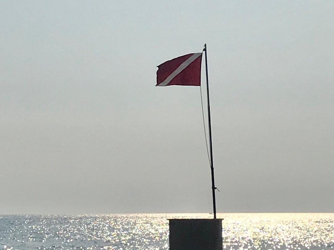 Rovinj Sub Diving Center-罗维尼必去景点