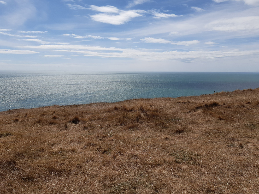 St Aldhelms Head - South West Coast Path walk-Worth Matravers必去景点