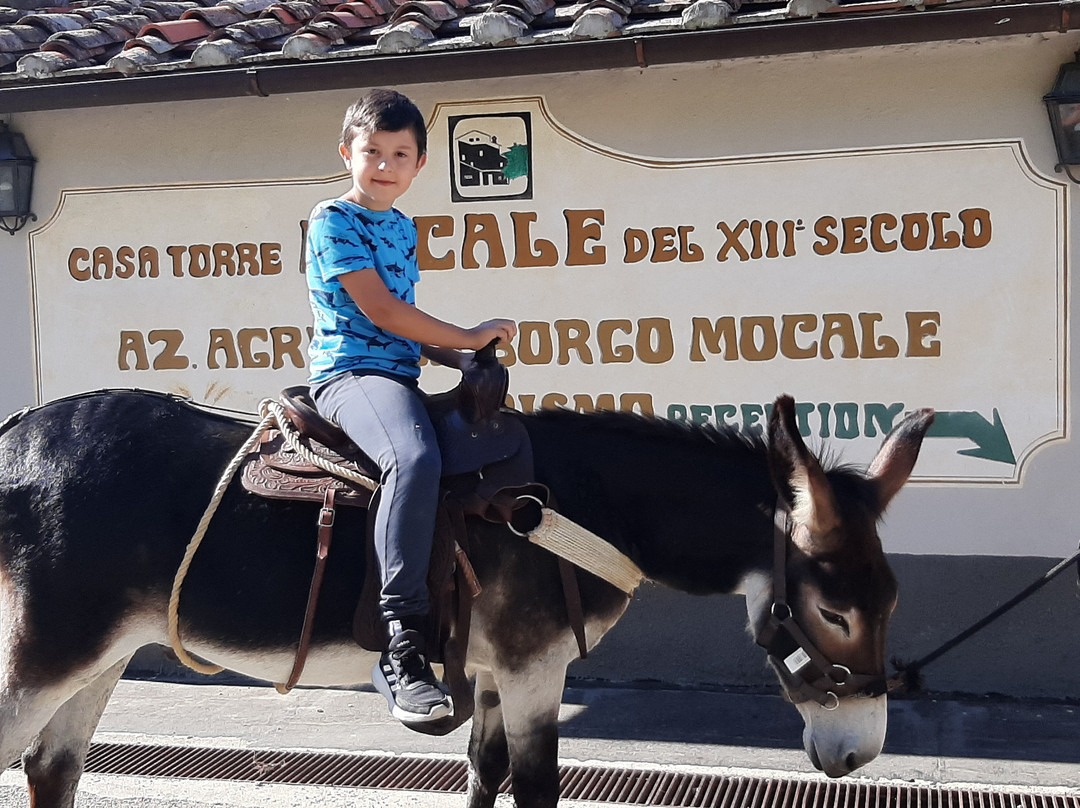 La Lama旅游攻略图片