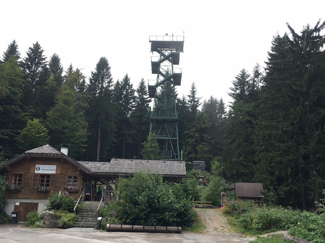 Aussichtsturm Moldaublick-Ulrichsberg必去景点