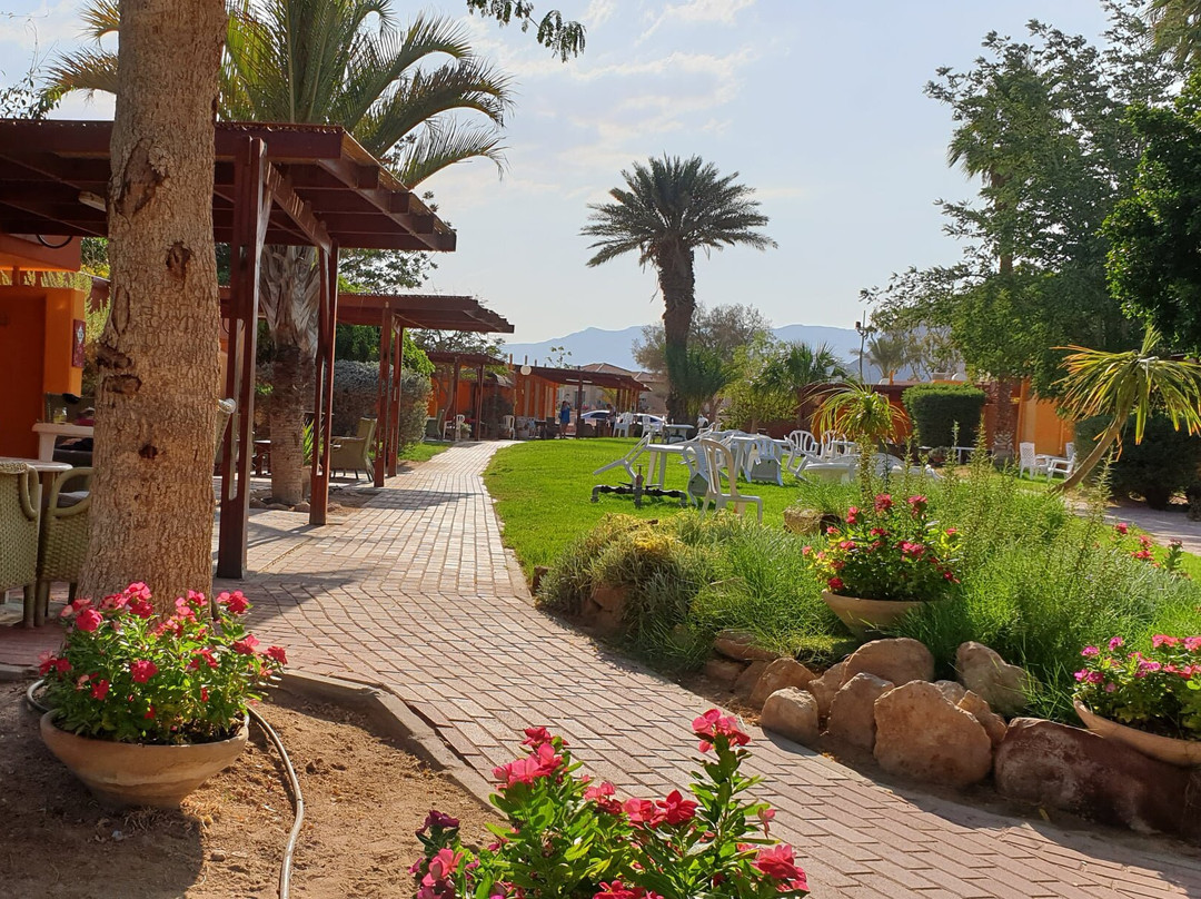 Elifaz - A Desert Holiday Experience主图