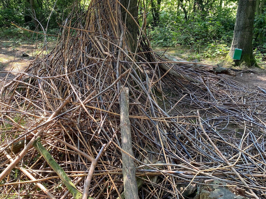 Broom House Farm Forest Adventure-Witton Gilbert必去景点