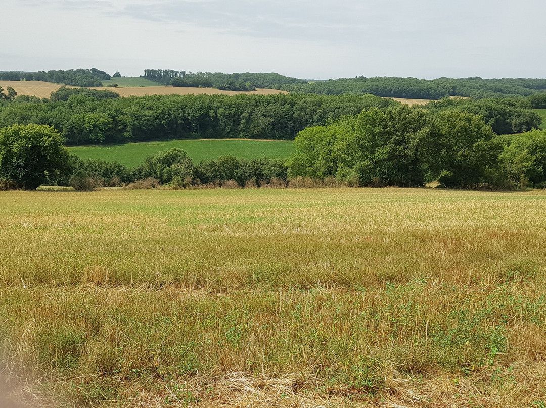 La Ferme de Bordeneuve景点图片