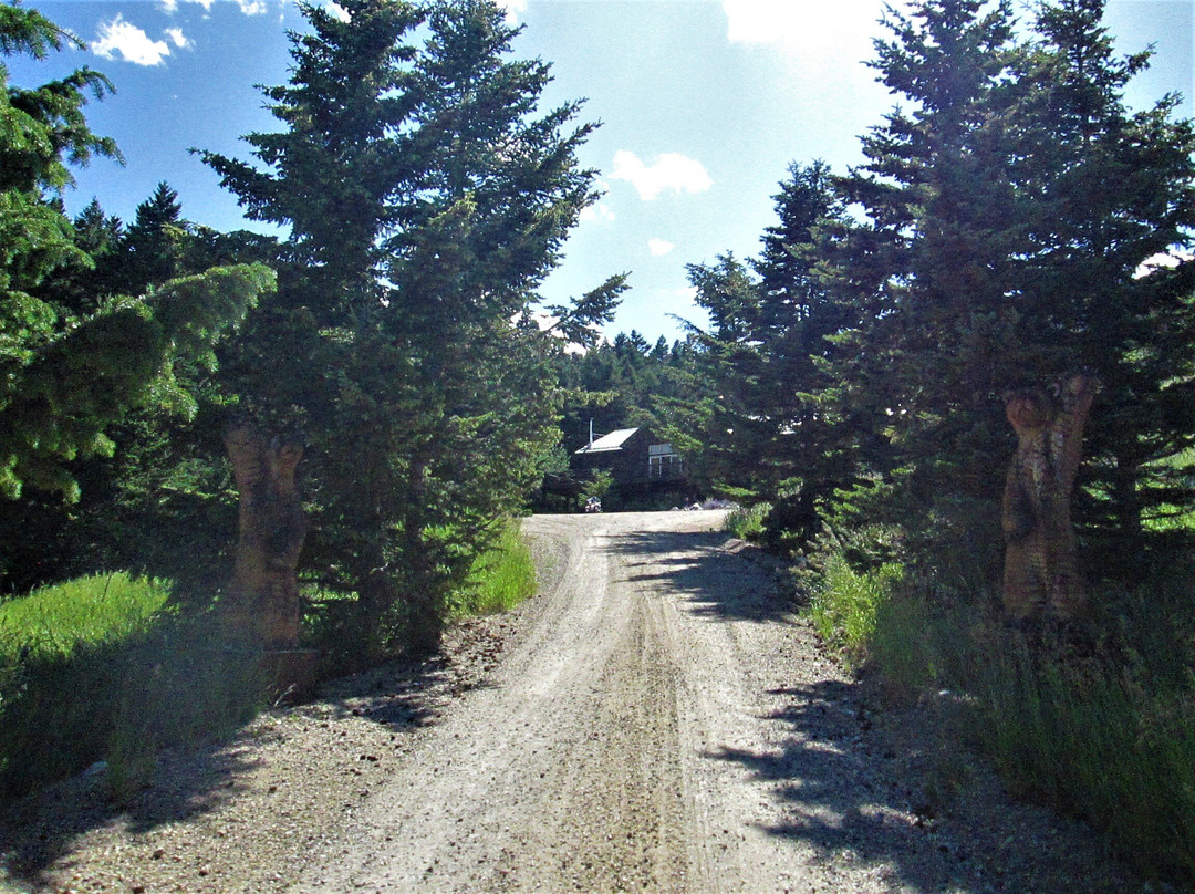 Two Bears Inn Bed & Breakfast主图