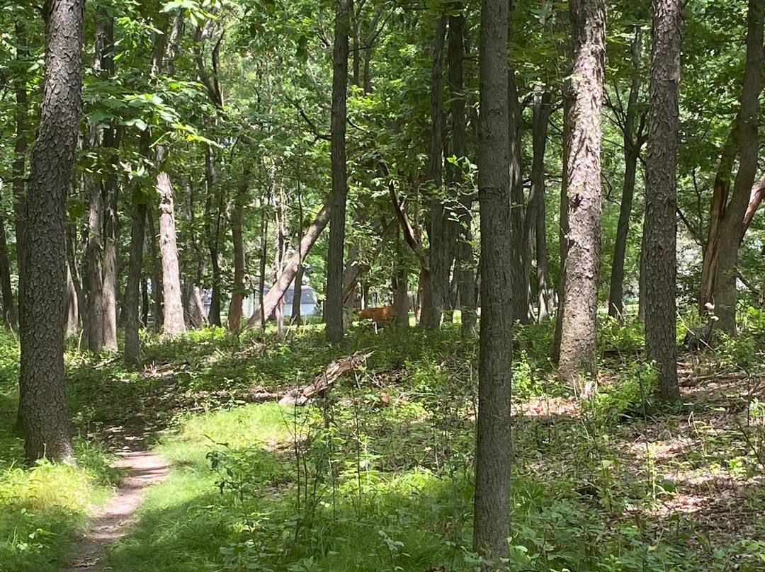 Lapham Peak-Delafield必去景点