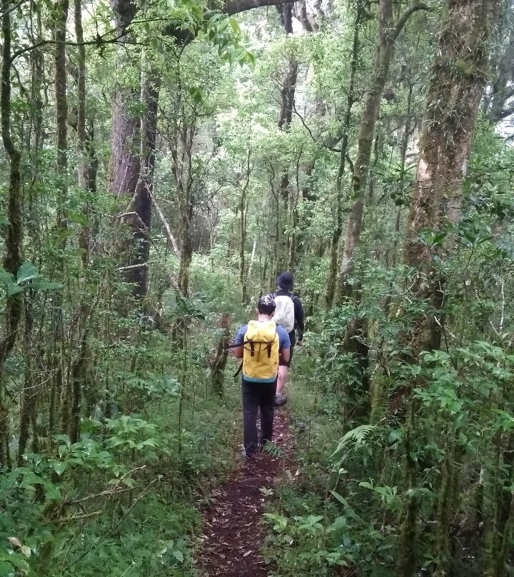 Adventure4Good-乌布必去景点