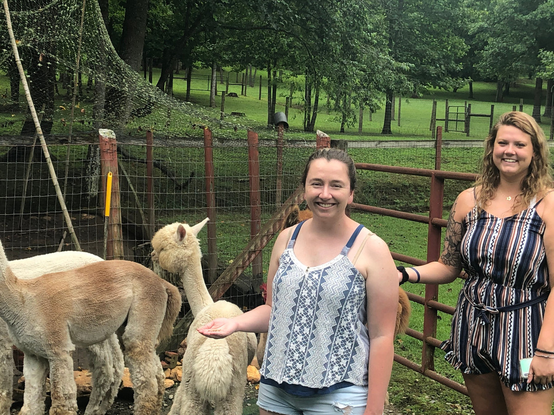 Cobb Creek Cabins主图