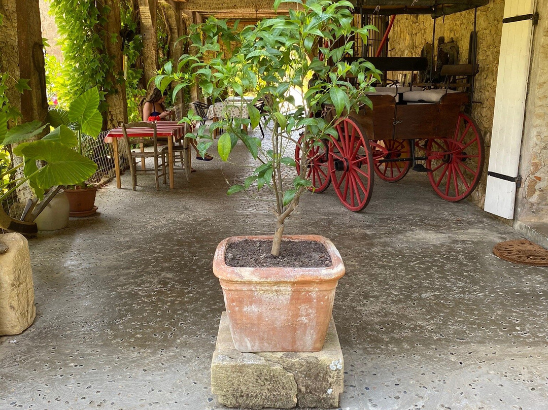 La Seigneurie Tillac主图