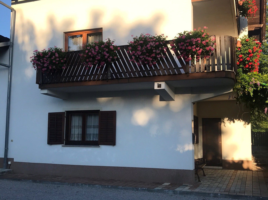 海伦娜住宿加早餐旅馆主图