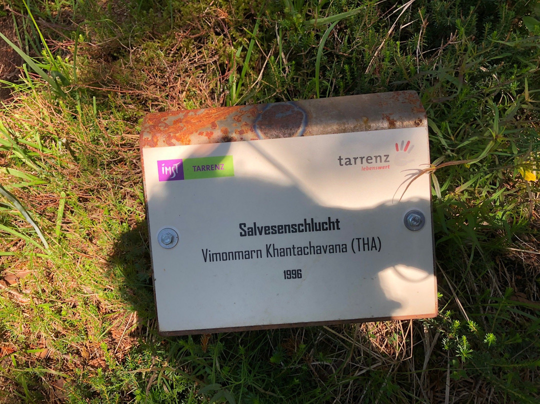 Salvesenklamm-Tarrenz必去景点