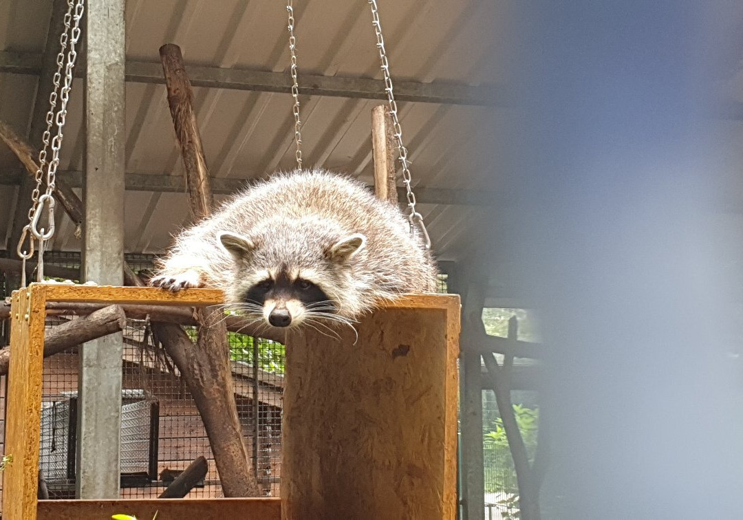 Tierpark Senftenberg-Senftenberg必去景点