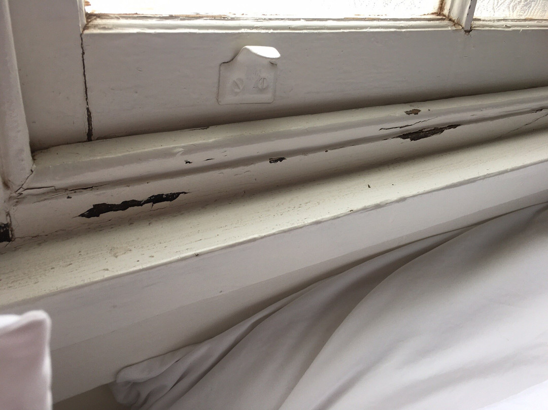 Mentor Chambers Apartment Bed & Breakfast主图