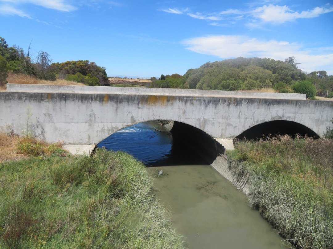 Sunnyvale Bay Trail-森尼韦尔必去景点