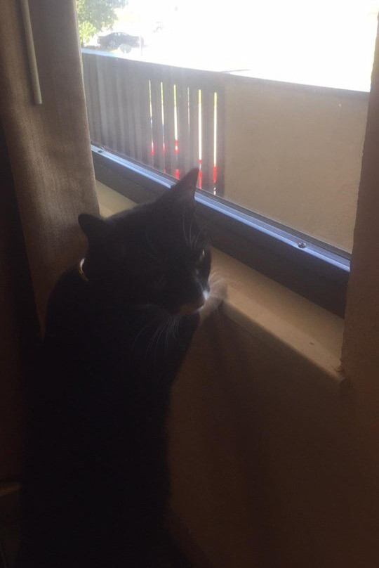 Red Roof Inn Aberdeen主图