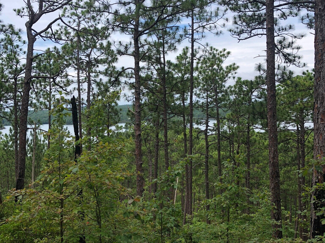 Cherokee Ridge Alpine Trail景点图片